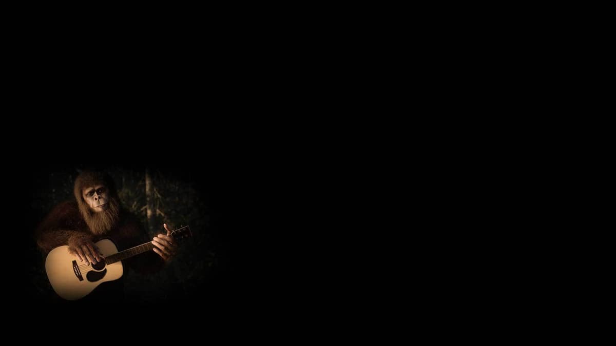 Songs of the Forest