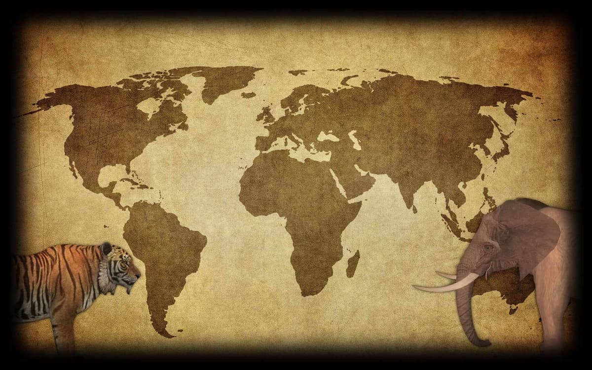 Tiger/Elephant
