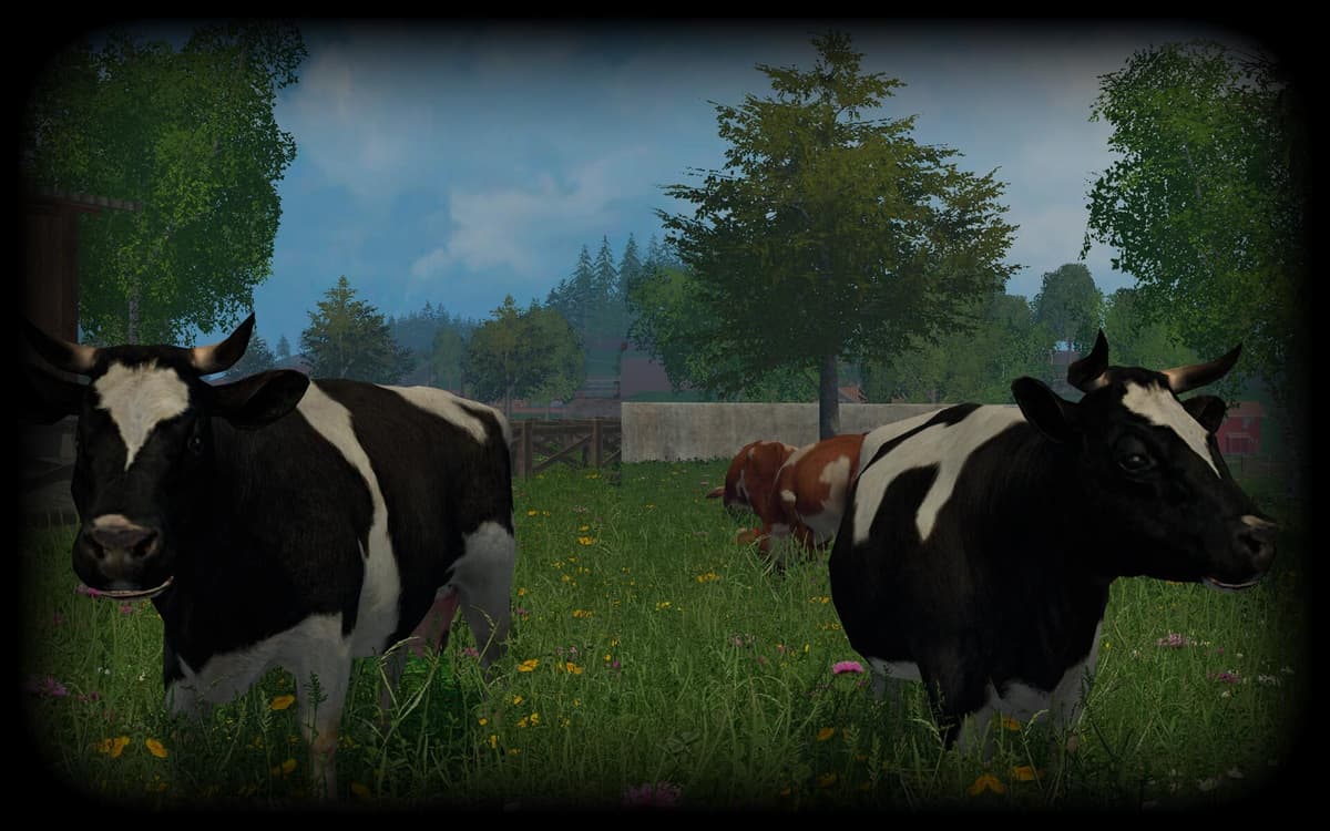 Animal Husbandry