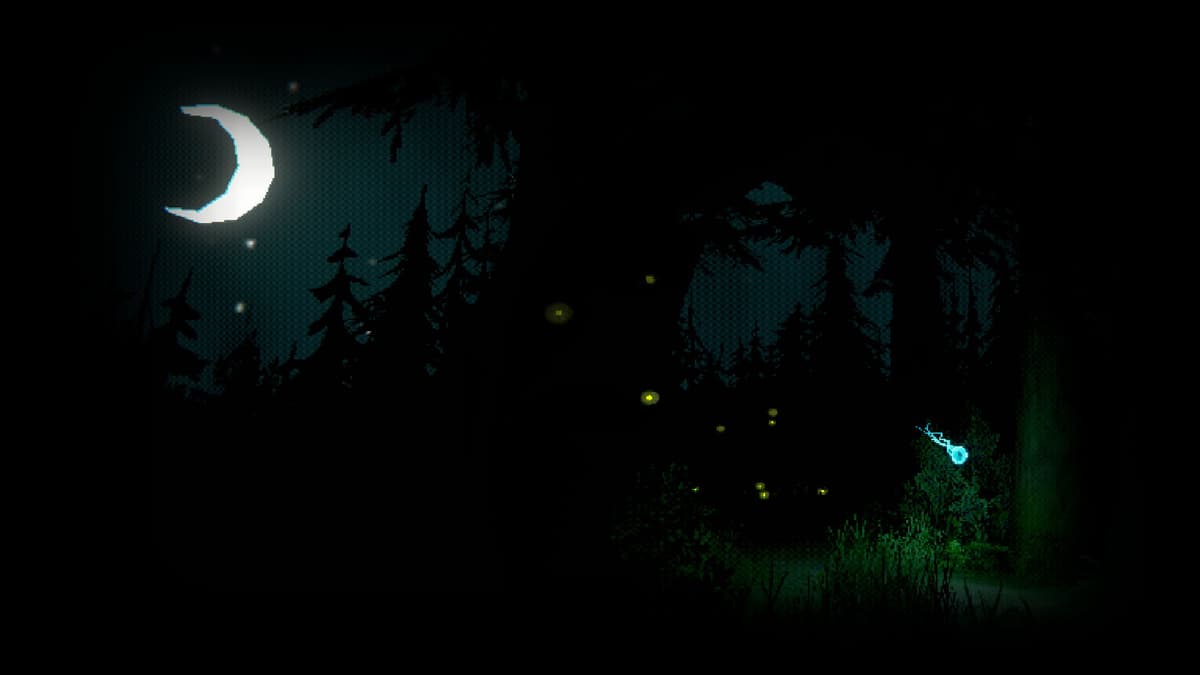 The Woods