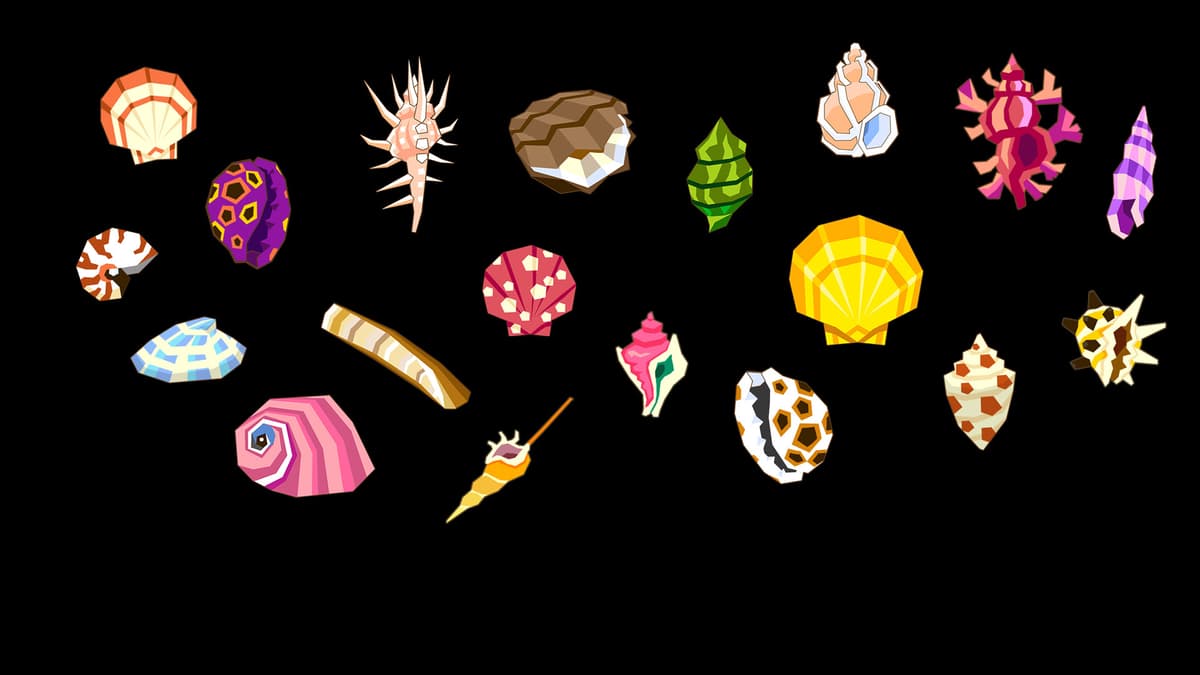 Seashells