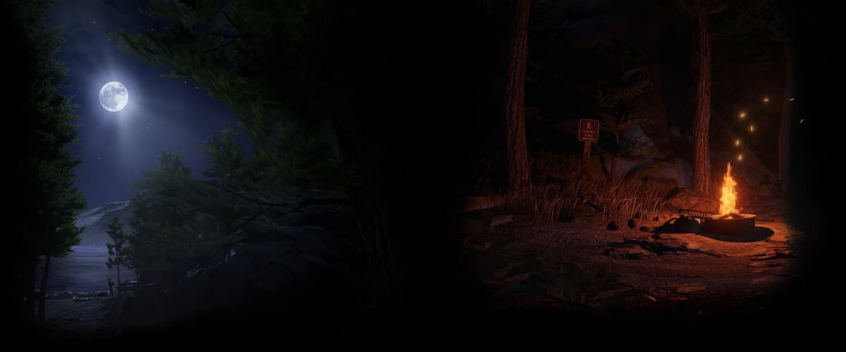 The Forest (Profile Background)