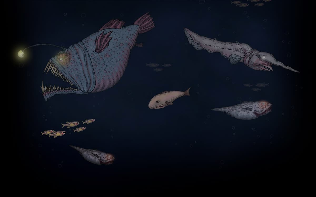 Dark Depths Background