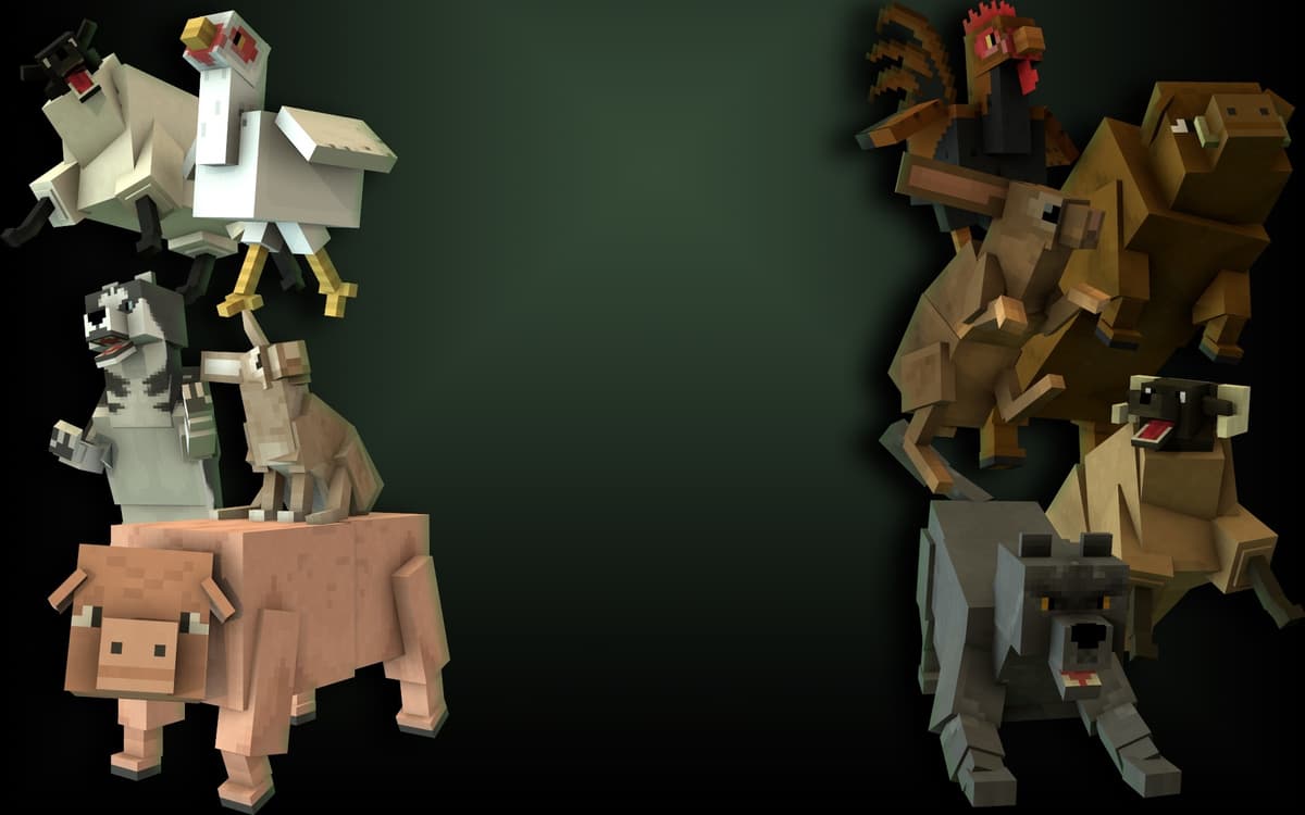 Animal Friends