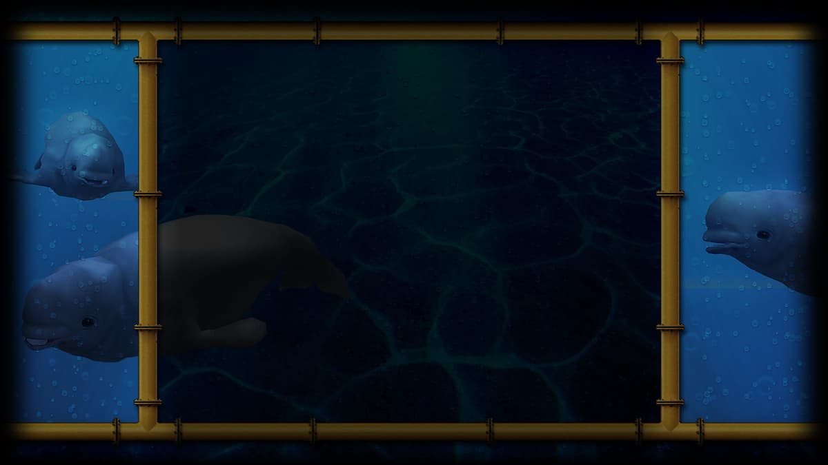 The Beluga (Profile Background)