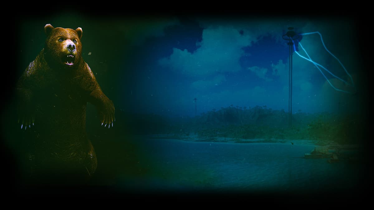 Radiation Island Bear