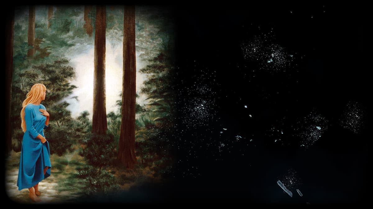 Light in the Woods