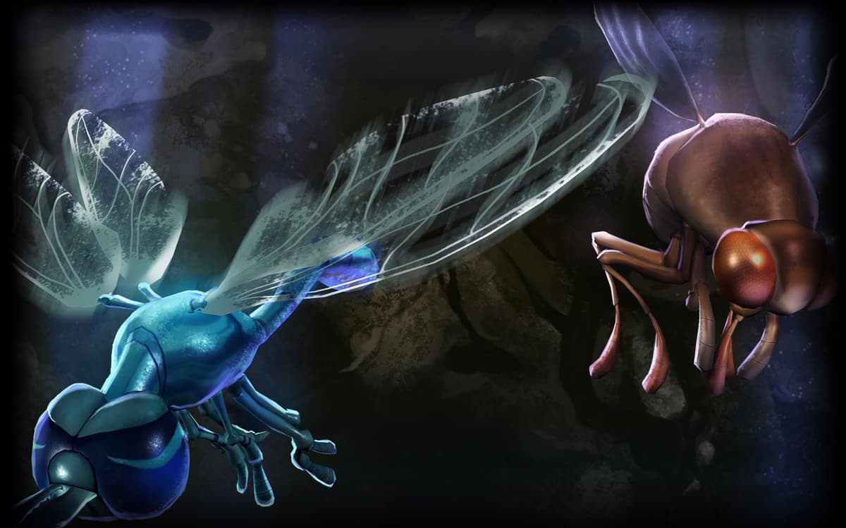 Flies