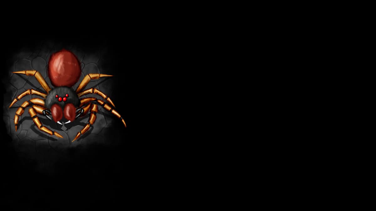 Spider