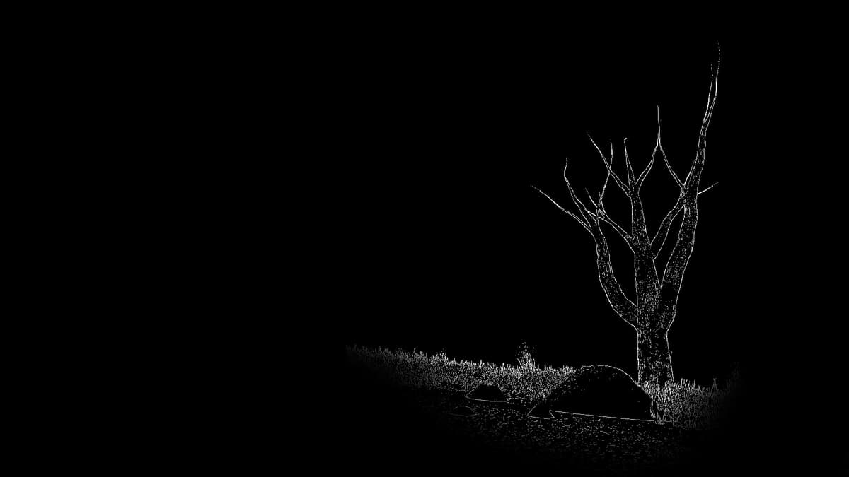 Etched Tree