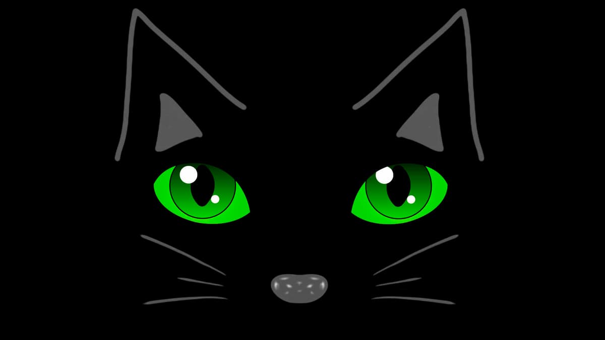 QuadroFonBlackCat