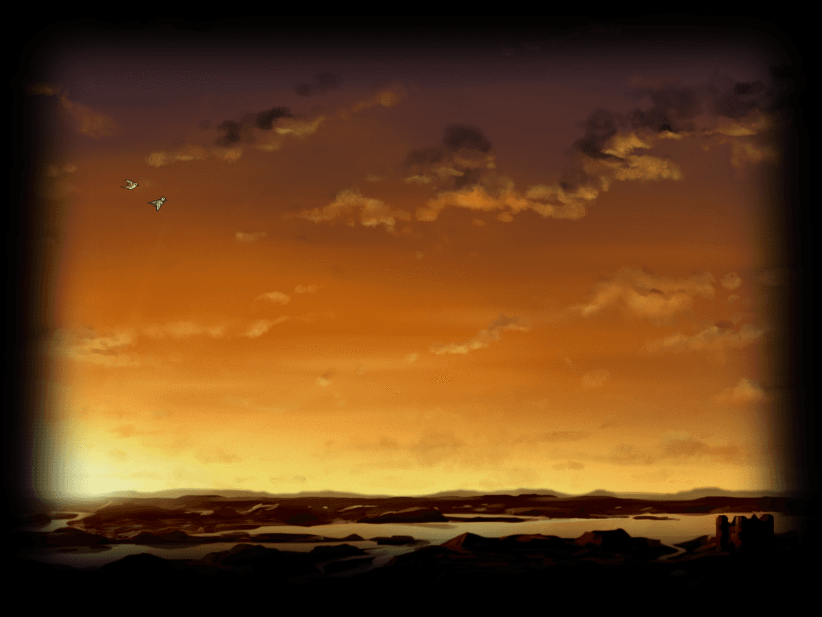 Sunset Flight