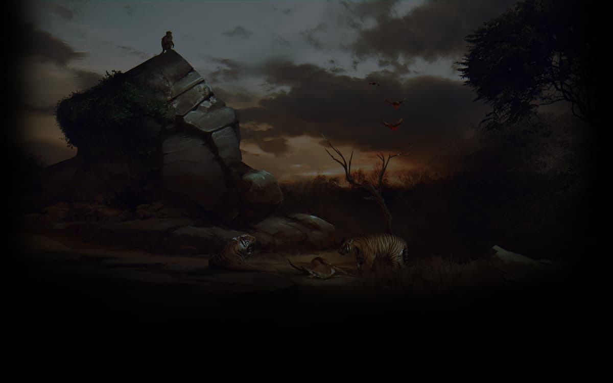 Wildlife (Profile Background)