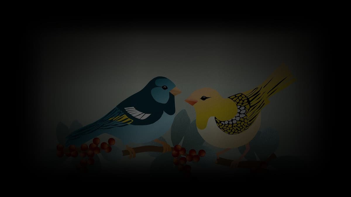 Background1