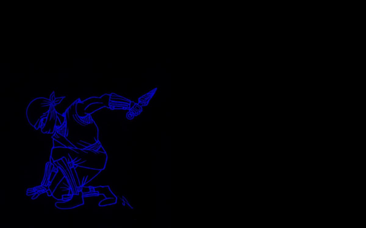The Ninja
