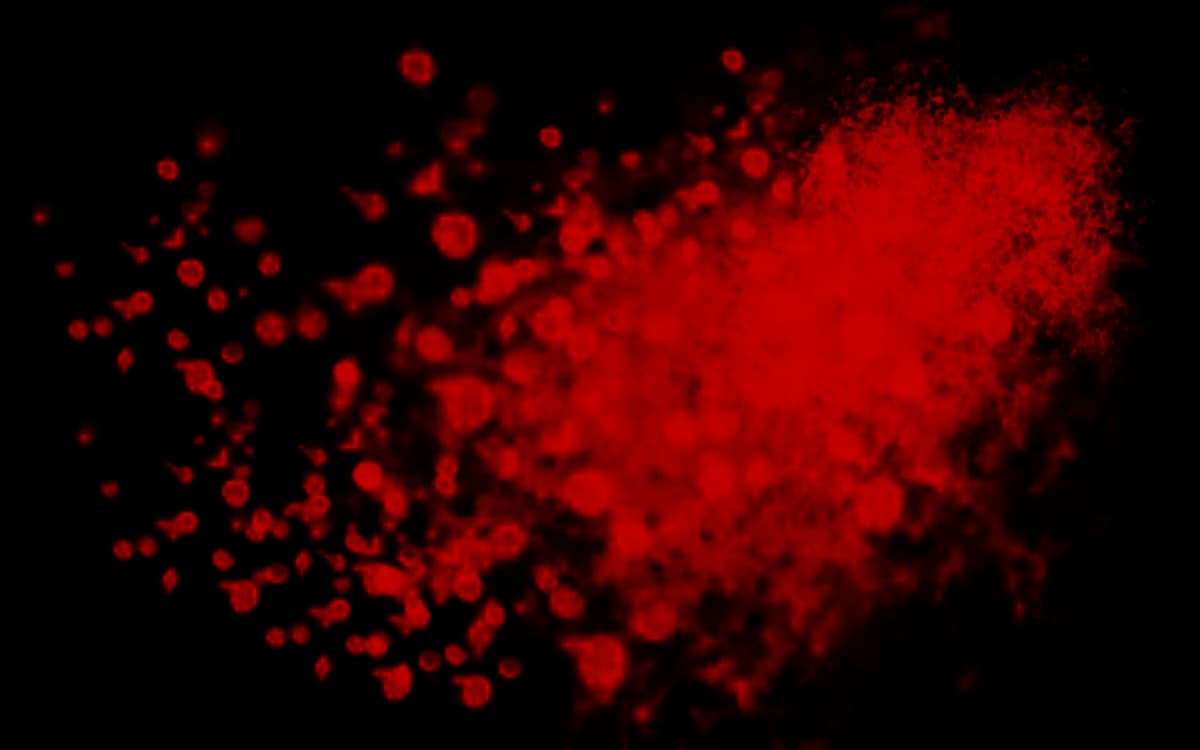 Porradaria Blood