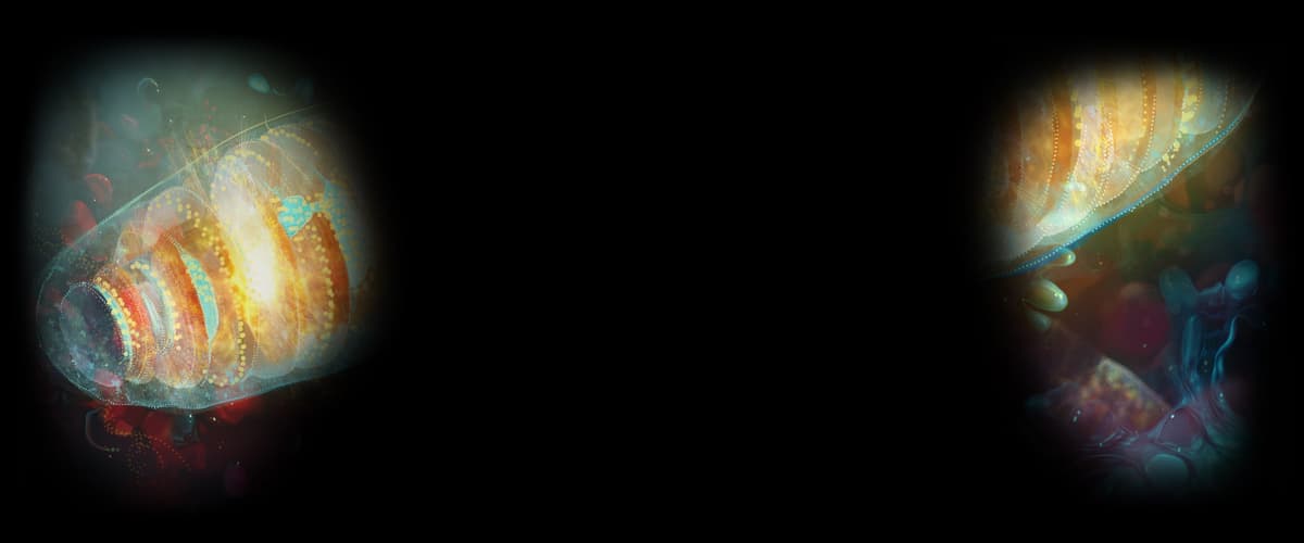 Mitochondrion (Profile Background)