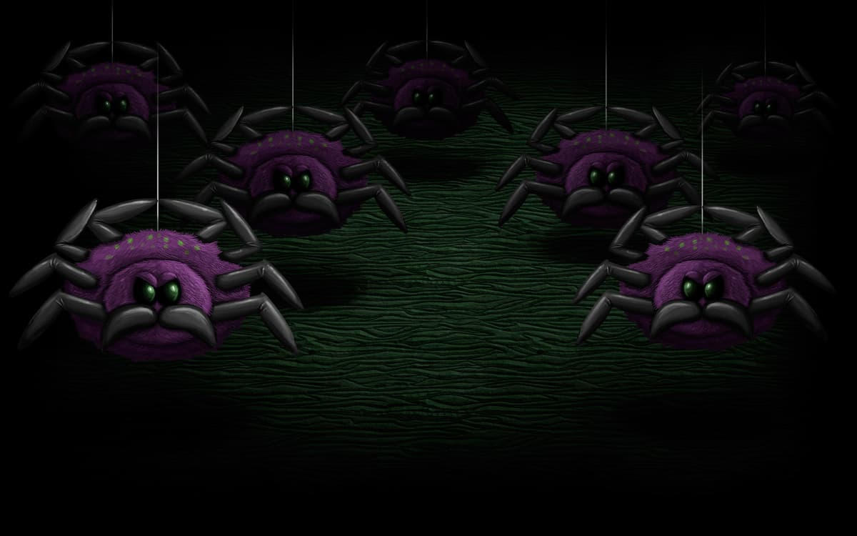 Spiders