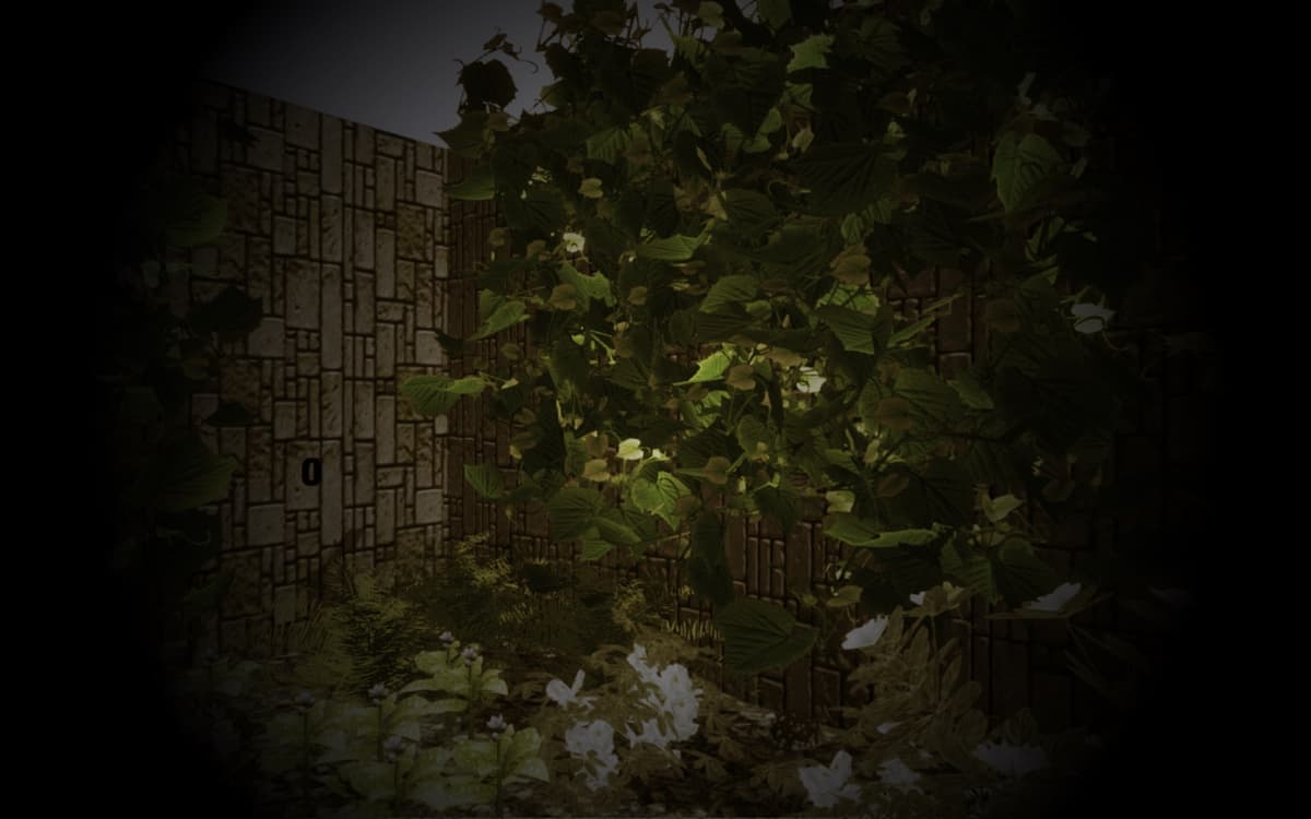 Mysterious garden