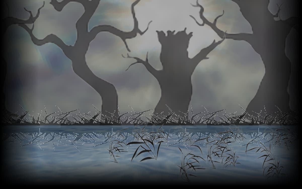 Wetland