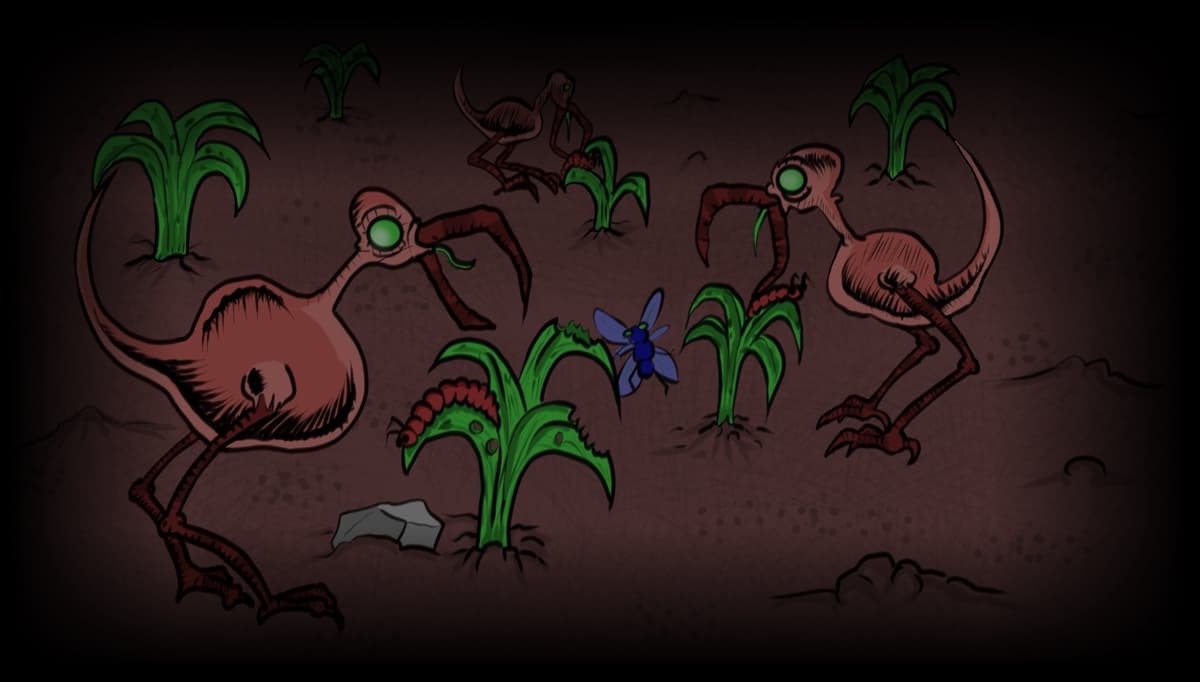 Birds