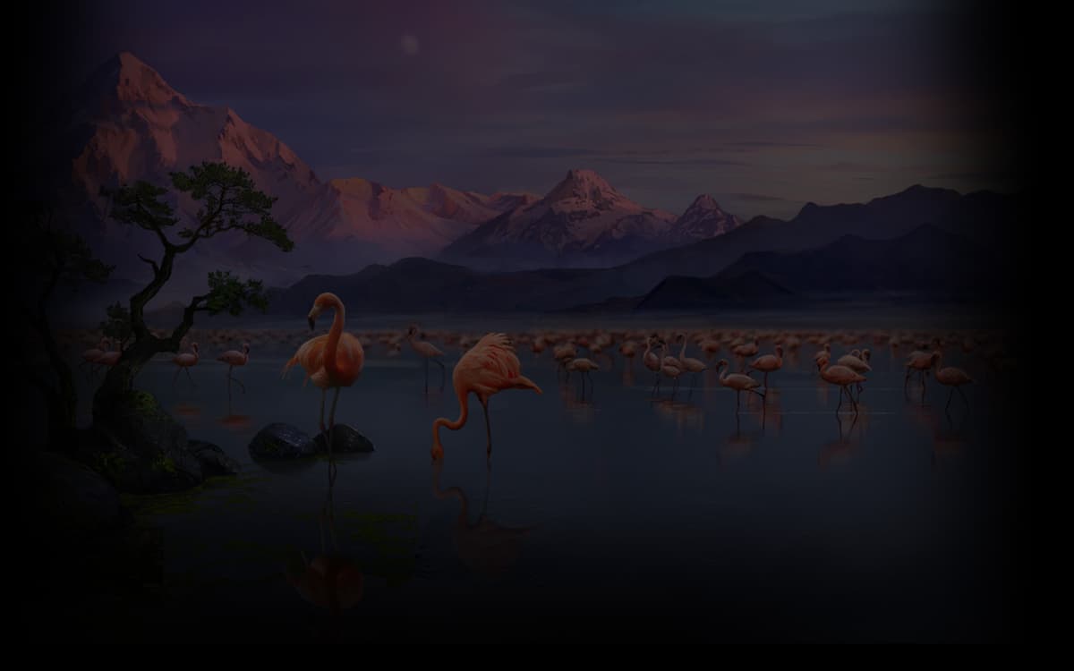 Game Location (Profile Background)