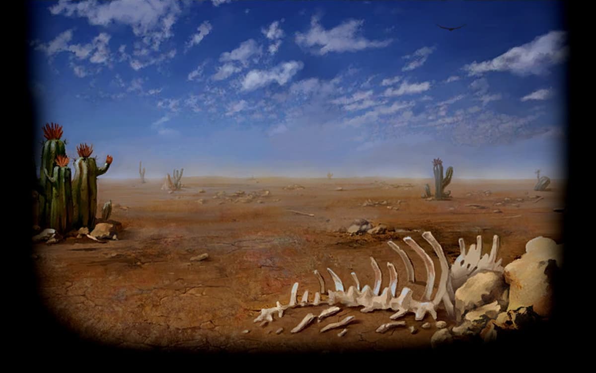 Desert