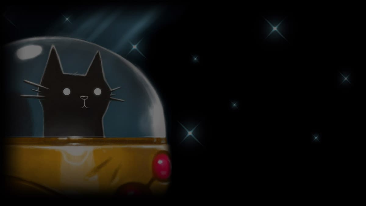 WonderCat in the stars