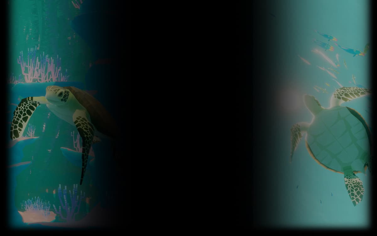 Turtle Backgroud