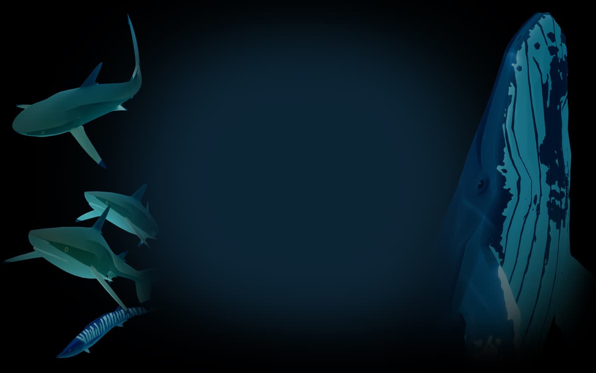 Whale Background