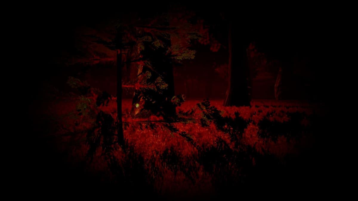 Nature (Profile Background)