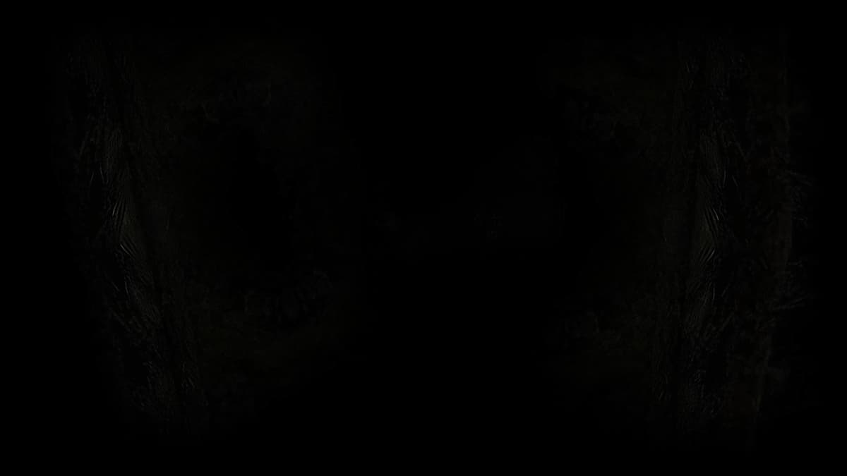 Into the Darkness