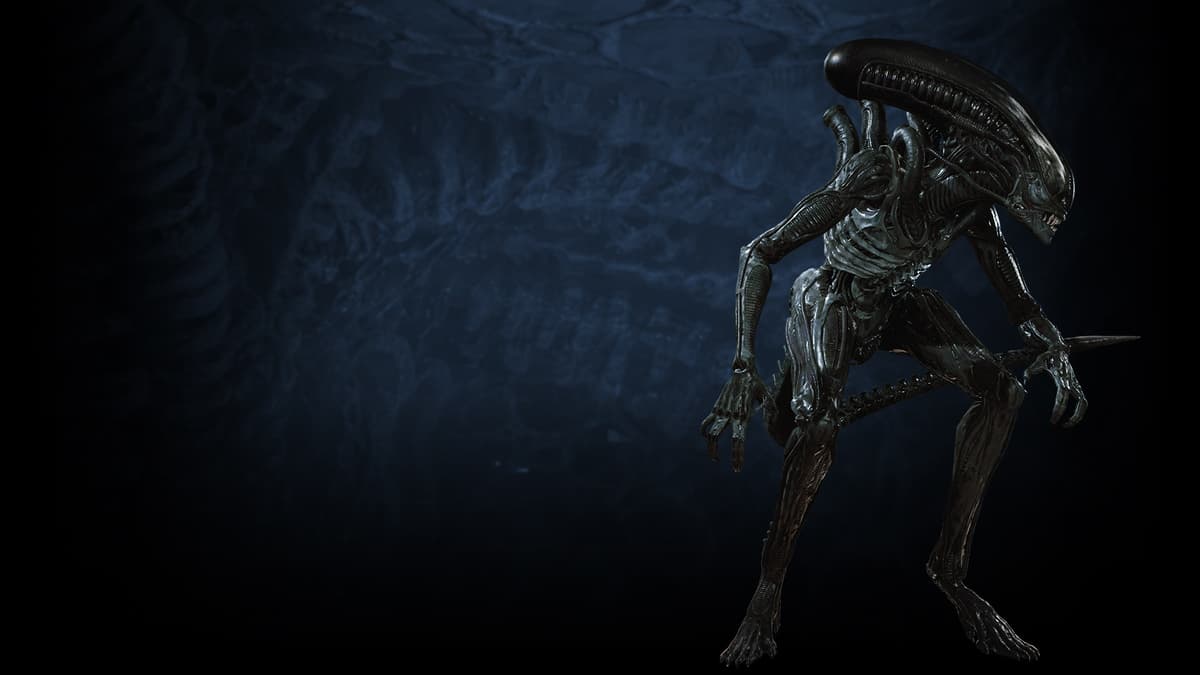 Xeno