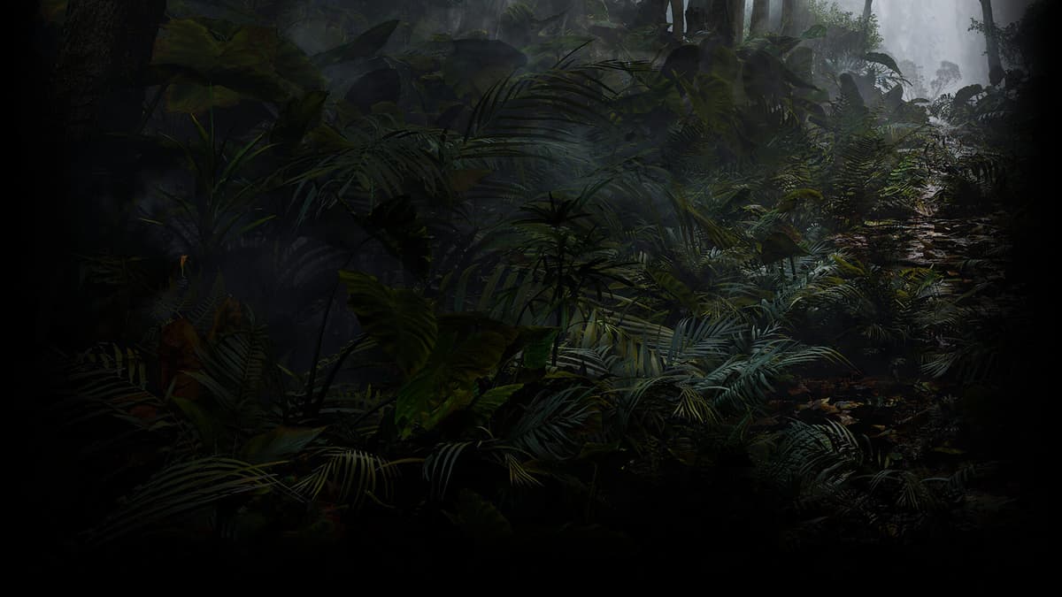 Jungle