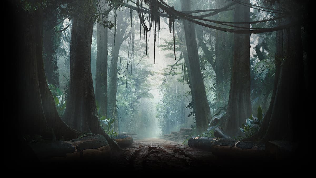 Logging Road
