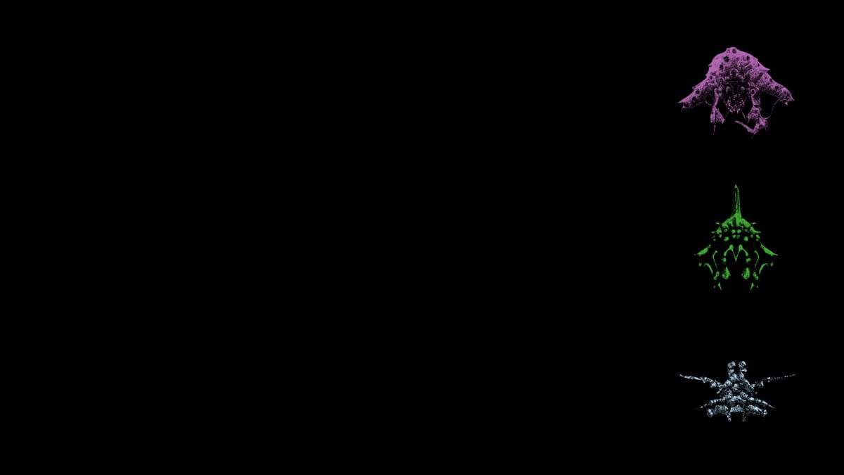 Entities C