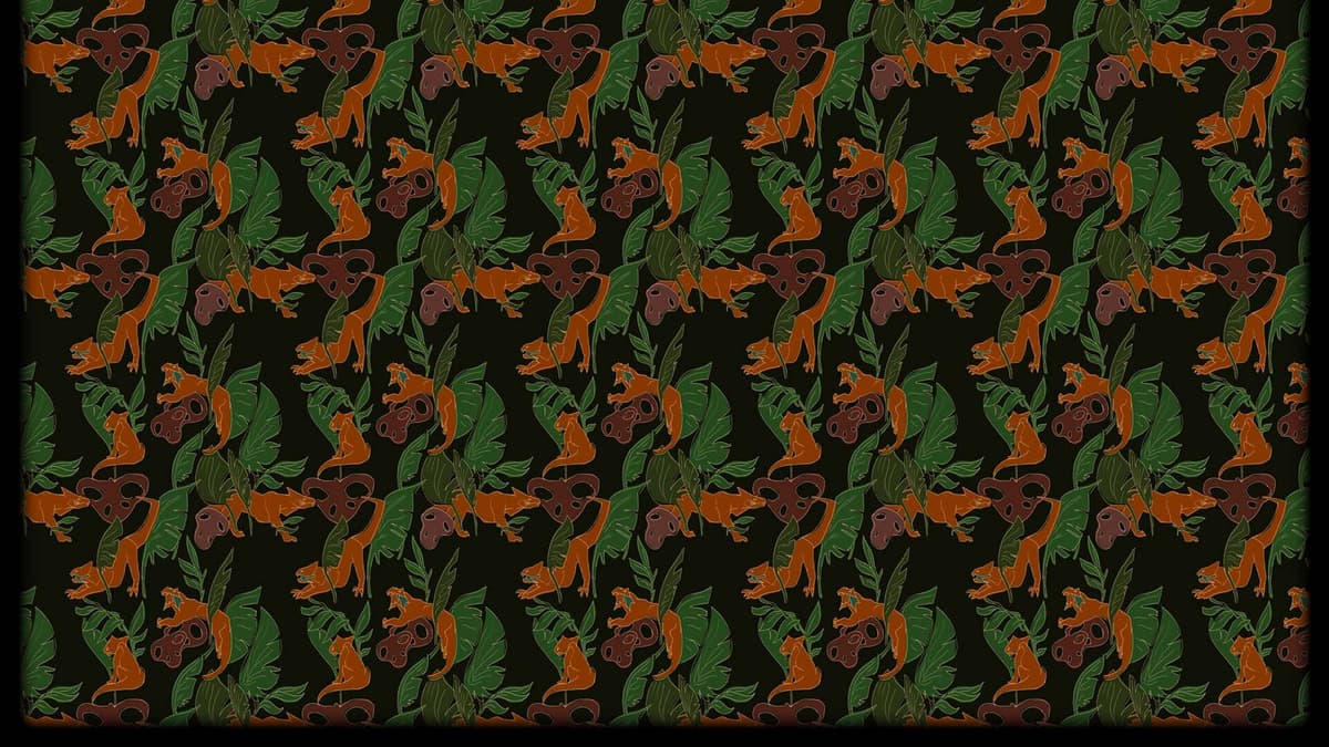 Raptidon