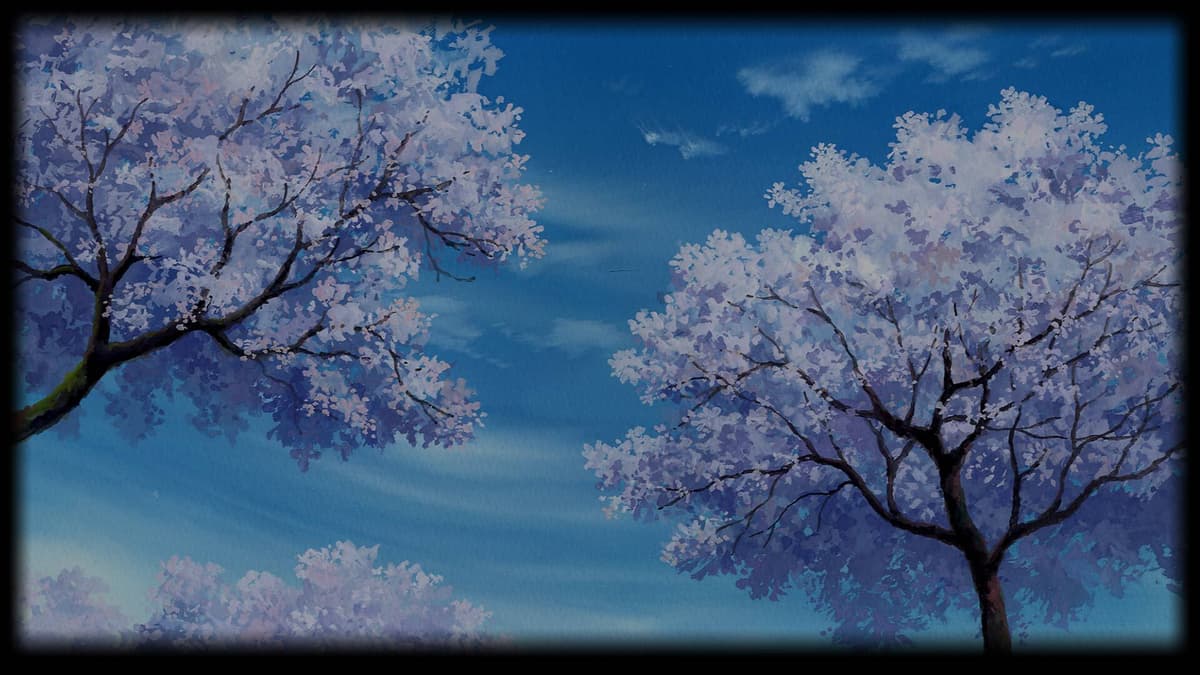 Cherry blossom
