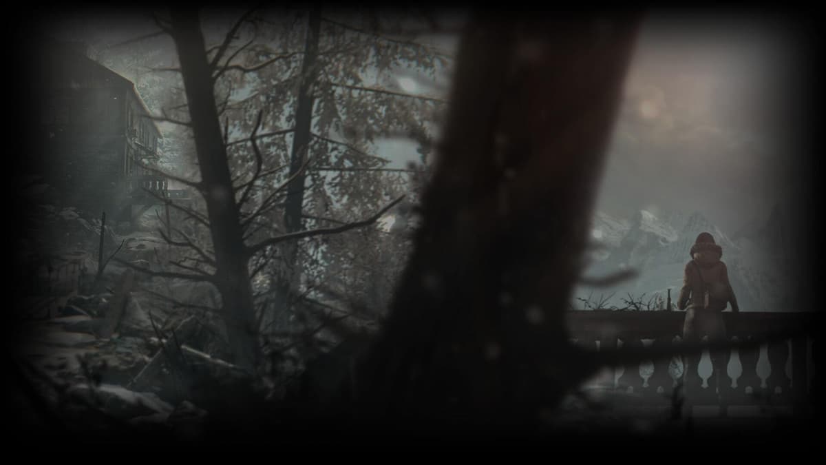 Mountain
