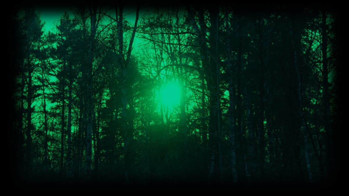 Night Adventure