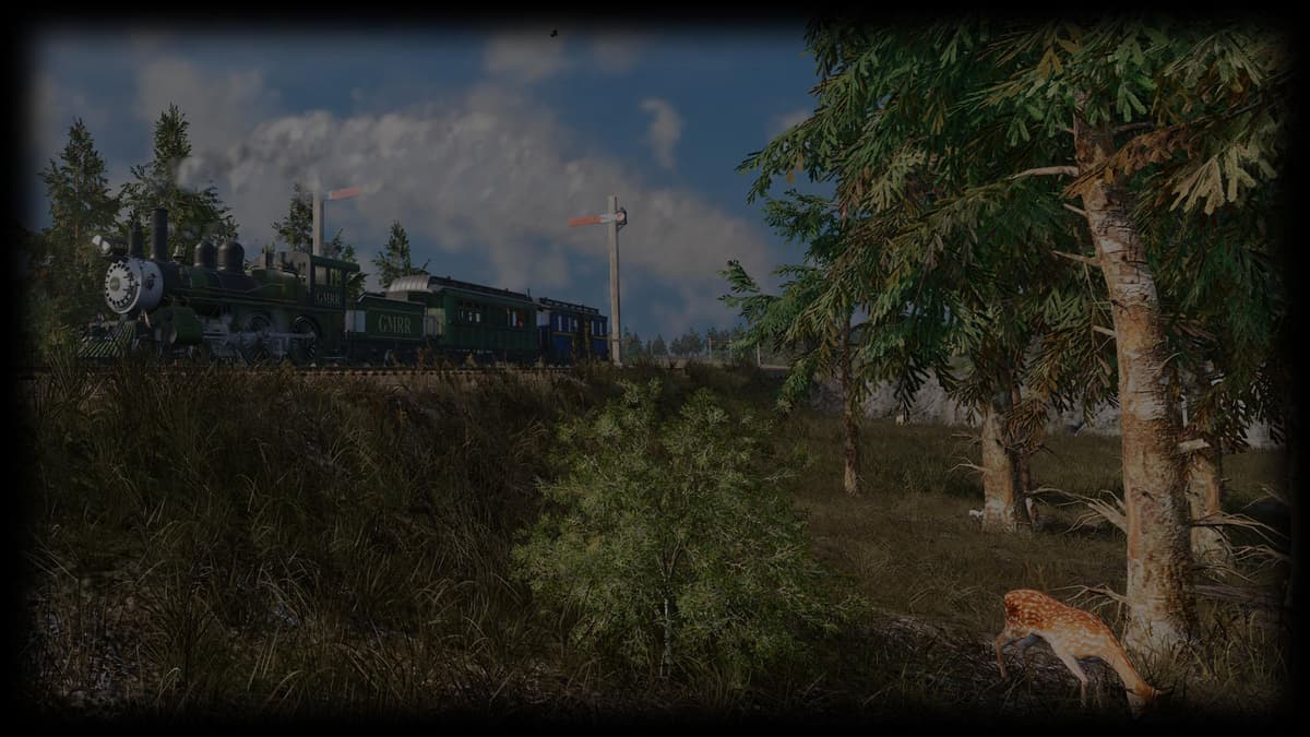Wildlife and Train