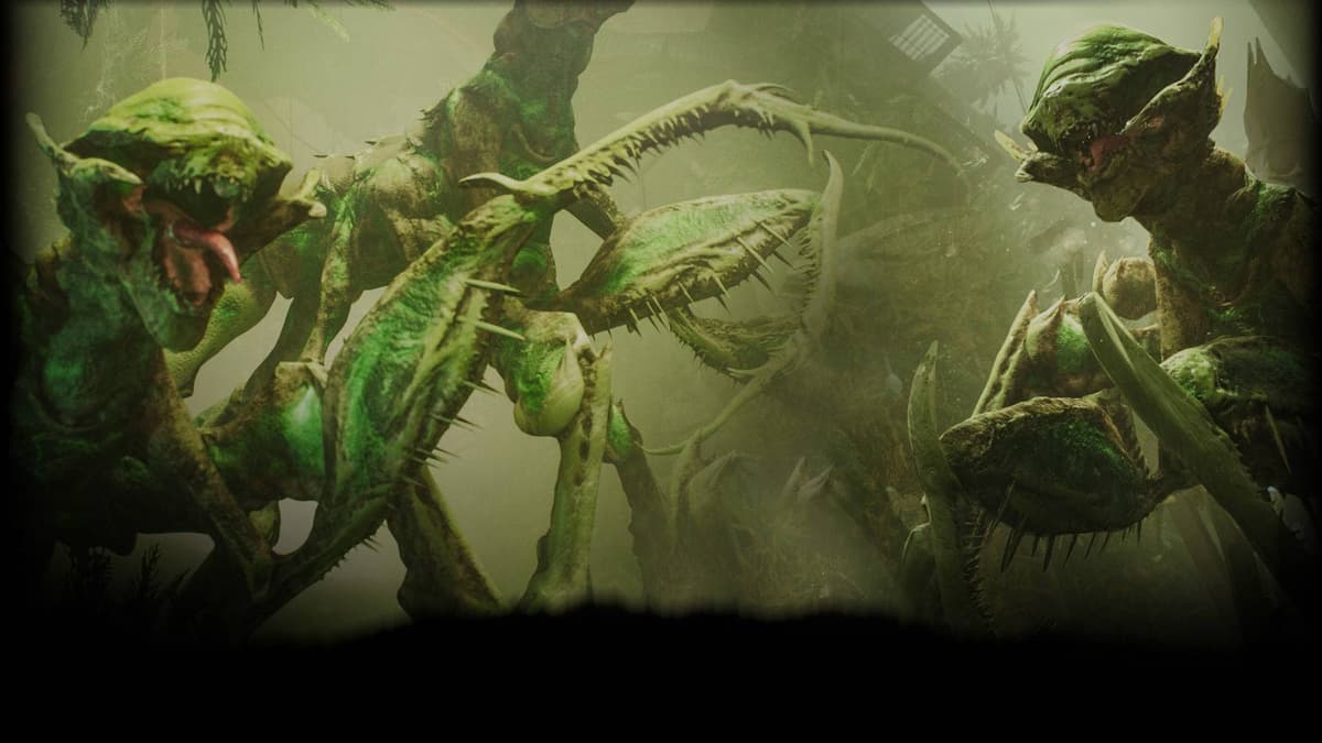 Mantis Attack