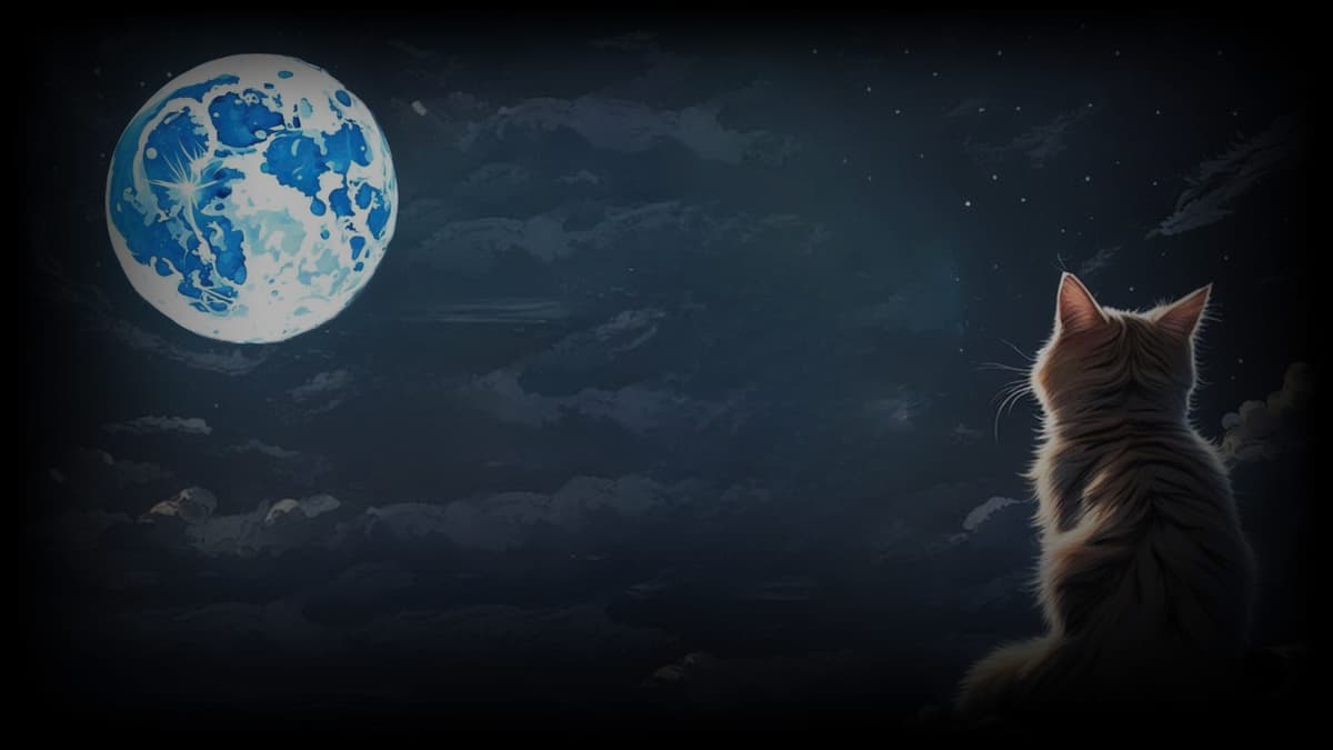 Cute Moon Cat