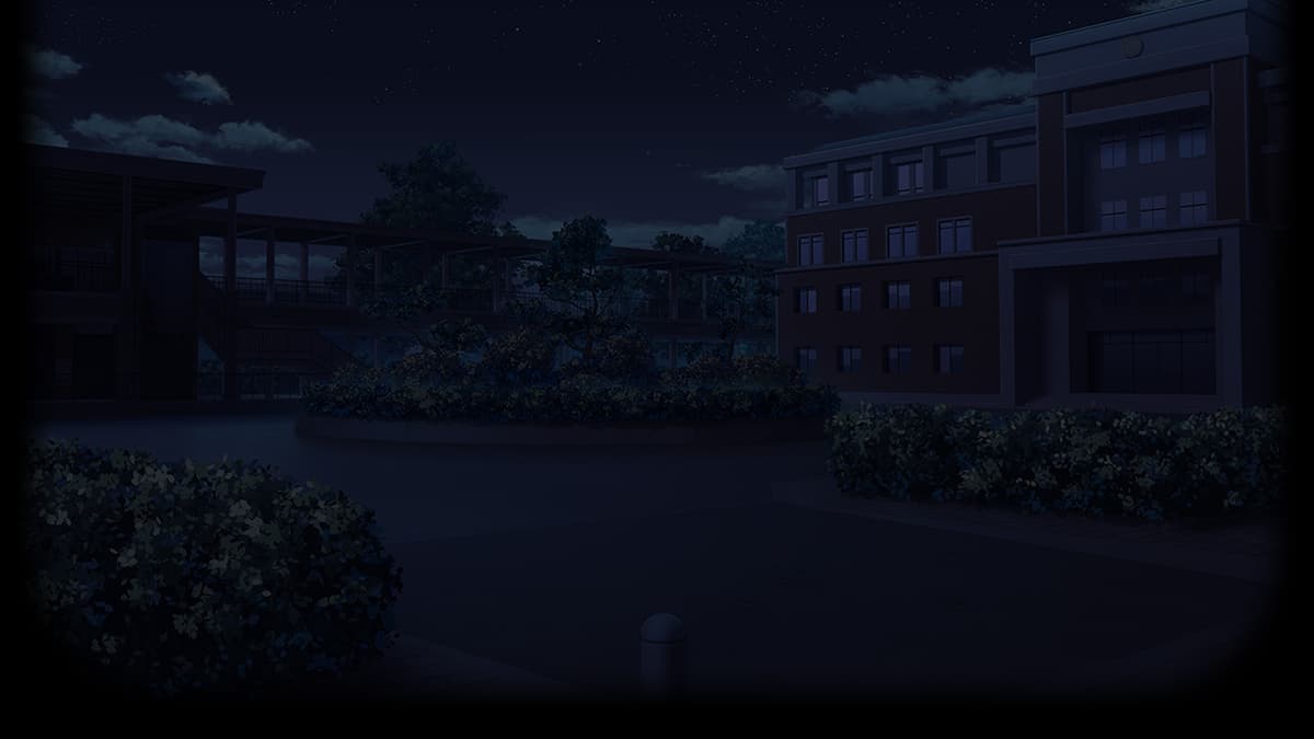 学校背景