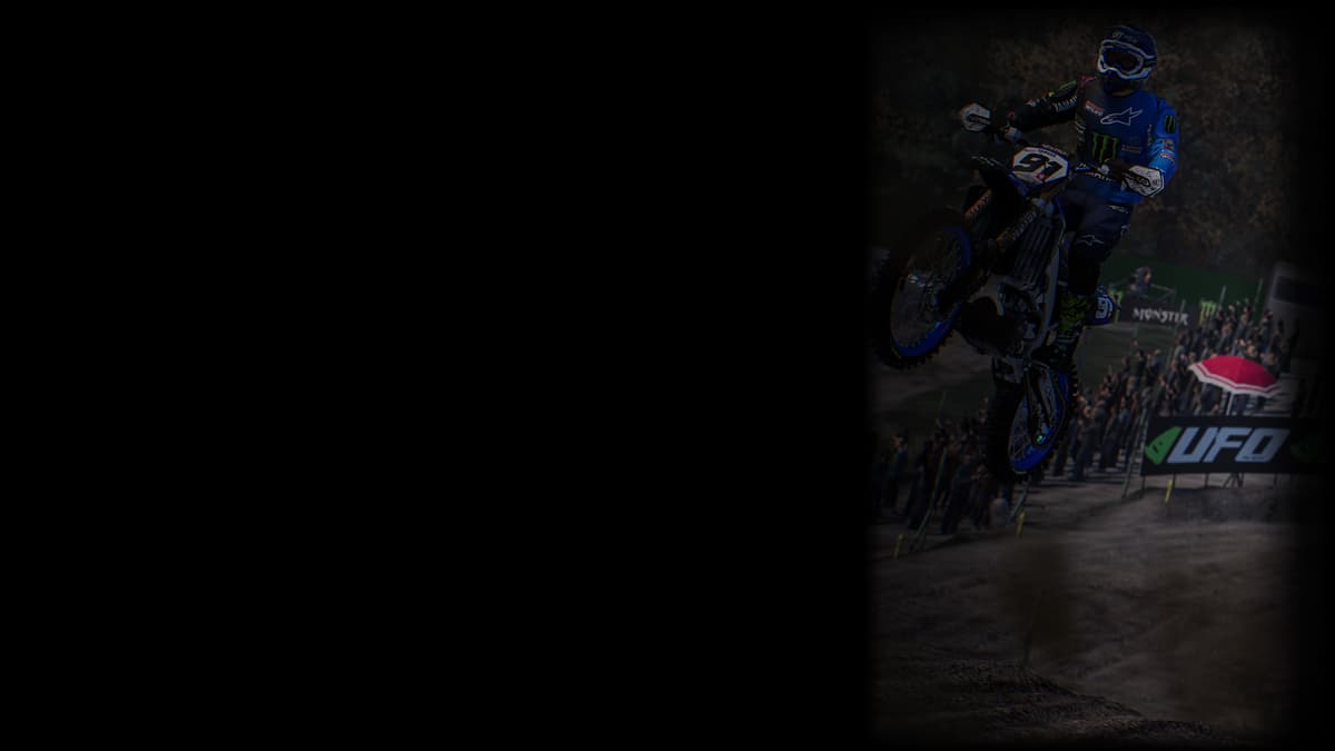 Seewer (Profile Background)
