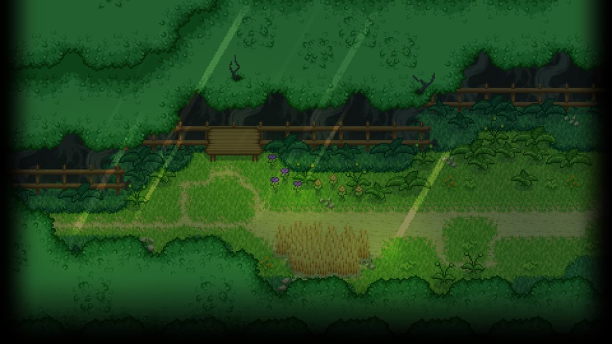 Forest District