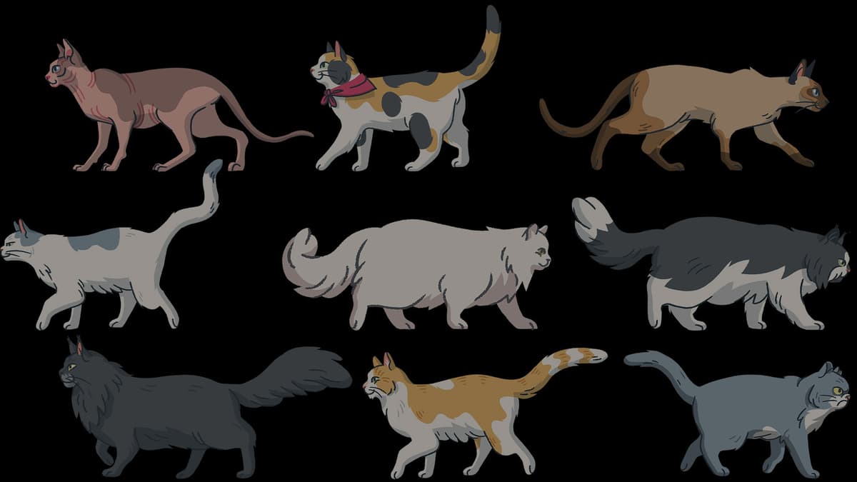 Walking Cats