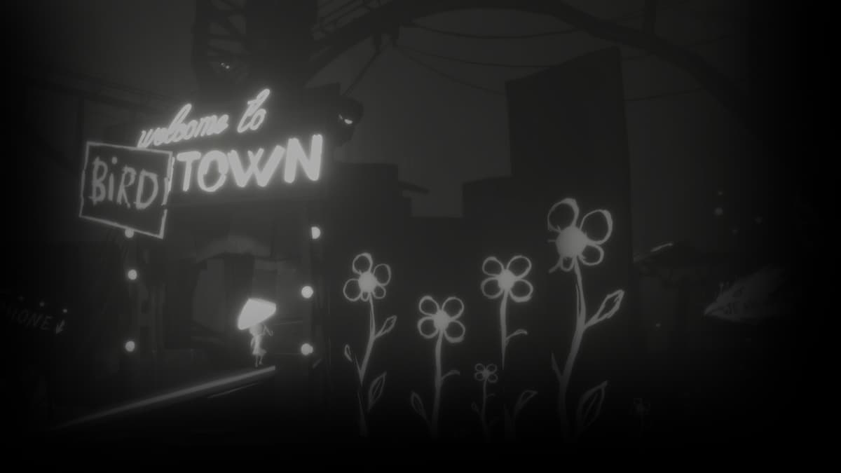 Welcome To Bird Town