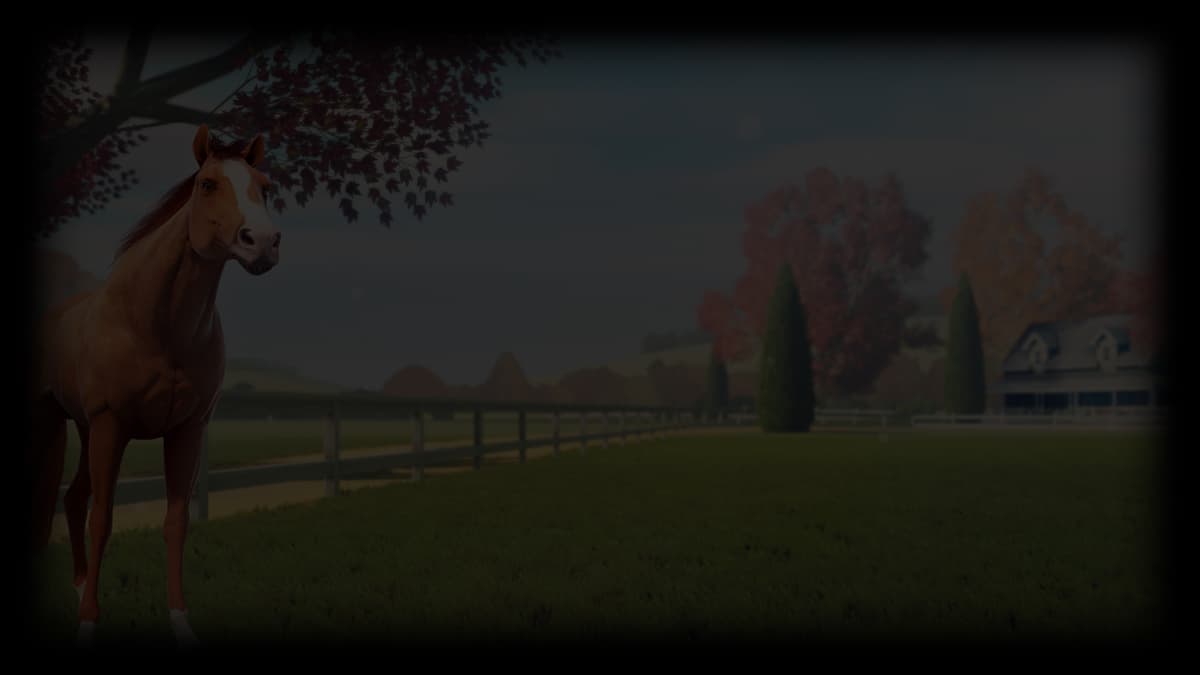 On the Ranch