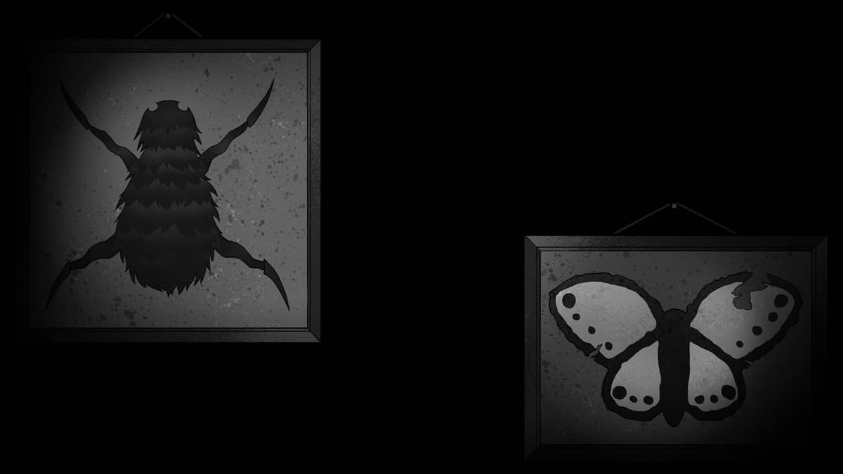 Bug Collection